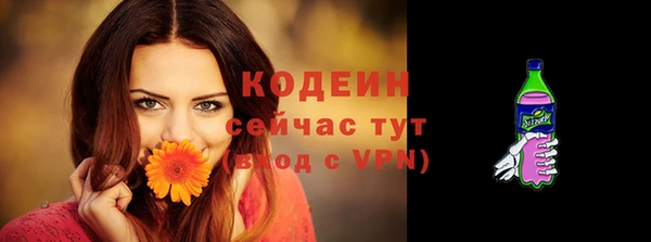 молекула духа Кущёвская