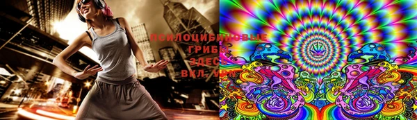 apvp Каменногорск