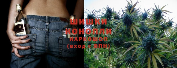 apvp Каменногорск