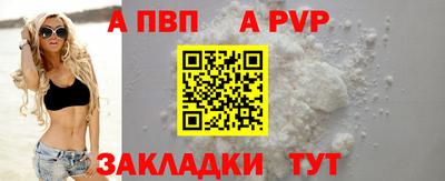 СК Тула