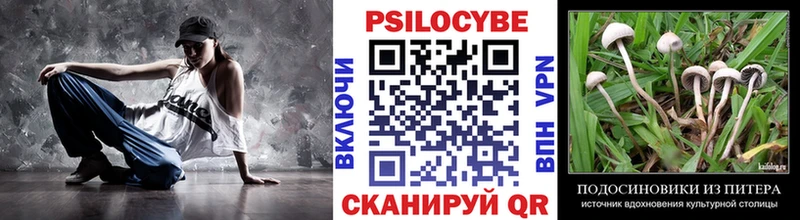 Псилоцибиновые грибы мицелий  Славянск-на-Кубани 