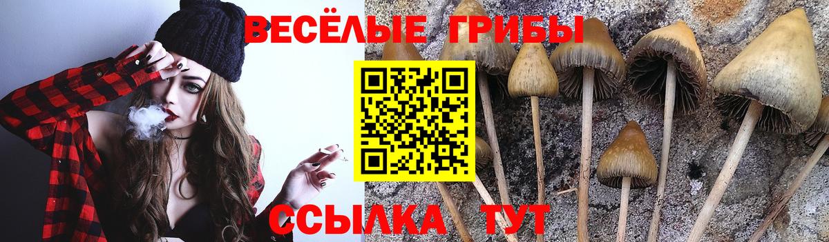 Псилоцибиновые грибы Magic Shrooms Славянск-на-Кубани