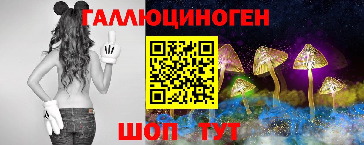 Славянск-на-Кубани  Галлюциногенные грибы ЛСД  Вход с VPN 